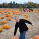 pumpkin-patches-in-central-oregon