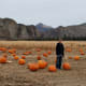 pumpkin-patches-in-central-oregon