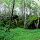 There were many different kind of settings on Fablehaven to home many of the creatures such as fairies.