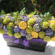 unique-cupcake-bouquets