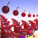 Cherry Bomb