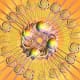 Sun Sign