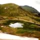 Traveling in the Alpine ecosystem. Note the cars on the road.