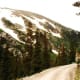 Traveling the old Fall River Road in the Sub-alpine ecosystem.