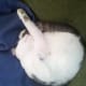 Soda Pop, Really sleeping!