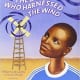 The Boy Who Harnessed the Wind: Picture Book Edition by William Kamkwamba