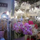 De Bazaar, Beverwijk, The Netherlands