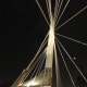 Esplanade Riel close up