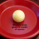 how-to-make-a-flower-pot-candy-dish-step-by-step-instructions