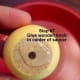 how-to-make-a-flower-pot-candy-dish-step-by-step-instructions