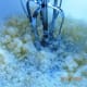 Cream butter and sugar together until fluffy