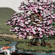 Okami Gameplay