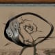 Okami Gameplay