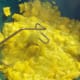 With a potato masher, mash the squash. Pour off excess water, if necessary.