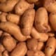 Potatoes