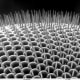 For example: this is a scanning electron micrograph of the eye of a housefly