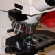 Nowadays microscopes have a much better magnification and resolving power than those available to Hooke. this is one of the key pieces of equipment available to a cell biologist