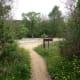 Mckinney Falls State Park Hike and Bike Trails - Austin TX