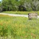 Mckinney Falls State Park Signs - Austin TX