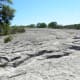 Mckinney Falls State Park Limestone shelf - Austin TX