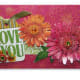 homemade-handmade-summer-greeting-cards-to-make