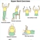 Note: Many exercises can be performed while sitting in a chair and be just as effective as floor exercises when properly executed.