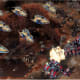 StarCraft 2 Gameplay