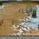 Empire Earth Gameplay