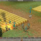 Empire Earth Gameplay