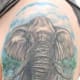 elephant-tattoos-and-designs-elephant-tattoo-meanings-and-ideas-elephant-tattoo-gallery