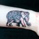 elephant-tattoos-and-designs-elephant-tattoo-meanings-and-ideas-elephant-tattoo-gallery