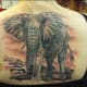elephant-tattoos-and-designs-elephant-tattoo-meanings-and-ideas-elephant-tattoo-gallery