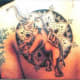 elephant-tattoos-and-designs-elephant-tattoo-meanings-and-ideas-elephant-tattoo-gallery