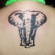 elephant-tattoos-and-designs-elephant-tattoo-meanings-and-ideas-elephant-tattoo-gallery