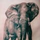 elephant-tattoos-and-designs-elephant-tattoo-meanings-and-ideas-elephant-tattoo-gallery