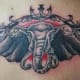 elephant-tattoos-and-designs-elephant-tattoo-meanings-and-ideas-elephant-tattoo-gallery