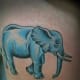 elephant-tattoos-and-designs-elephant-tattoo-meanings-and-ideas-elephant-tattoo-gallery