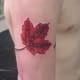 canadian-tattoos-and-designs-canadian-tattoo-meanings-and-ideas-canadian-tattoo-pictures