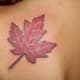 canadian-tattoos-and-designs-canadian-tattoo-meanings-and-ideas-canadian-tattoo-pictures