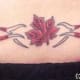canadian-tattoos-and-designs-canadian-tattoo-meanings-and-ideas-canadian-tattoo-pictures
