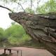 greenways-in-charlotte