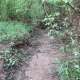 greenways-in-charlotte
