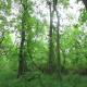 greenways-in-charlotte