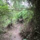 greenways-in-charlotte