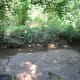 greenways-in-charlotte