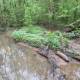 greenways-in-charlotte