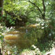 greenways-in-charlotte