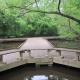 greenways-in-charlotte