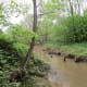 greenways-in-charlotte