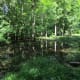 This trail is a flood plain. Whenever it rains a lot the trail is not useable due to flooding.